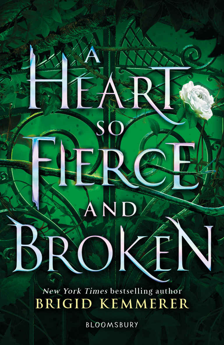 A Heart So Fierce and Broken | Brigid Kemmerer