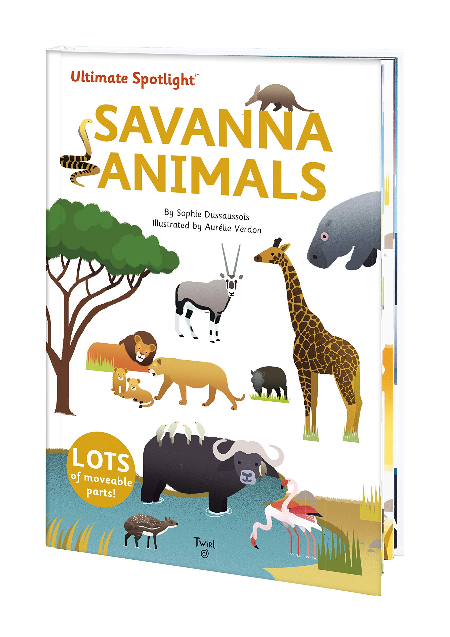 Ultimate Spotlight: Savanna Animals | Sophie Dussausois