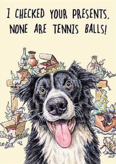 Felicitare - I Checked Your Present, None Are Tennis Balls | Great British Card Company