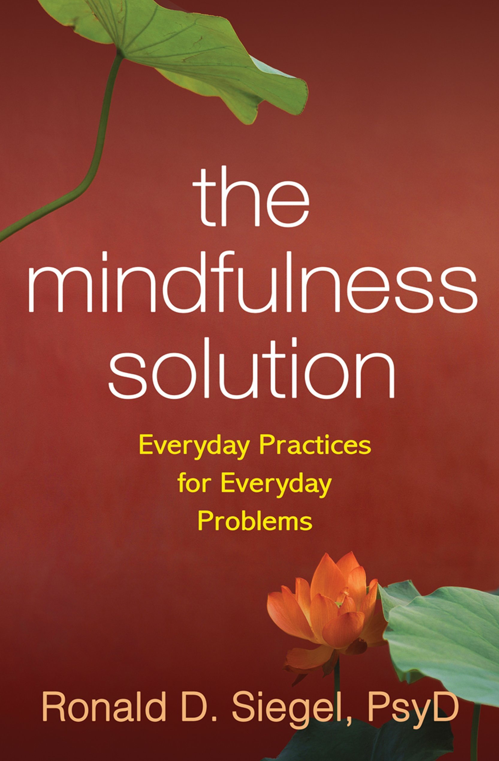 The Mindfulness Solution | Ronald Siegel