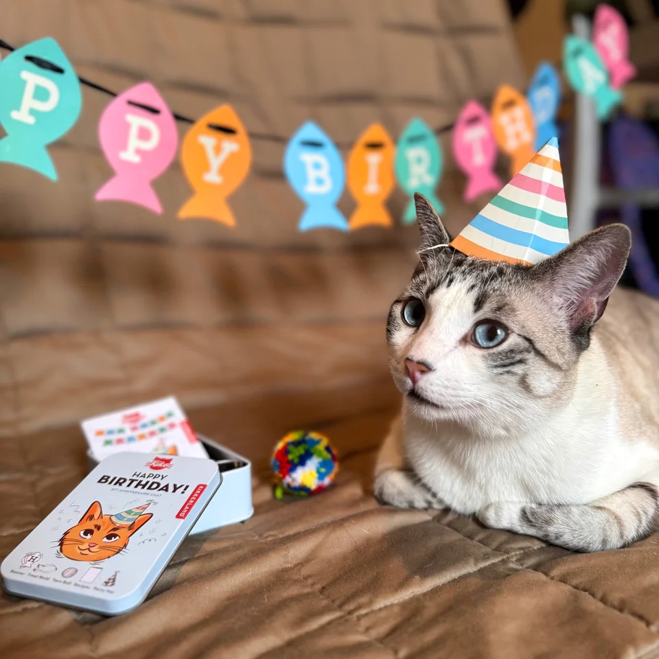 Kit aniversare pisici - Kiko Cat Happy Birthday Kit | Kikkerland - 9 | YEO