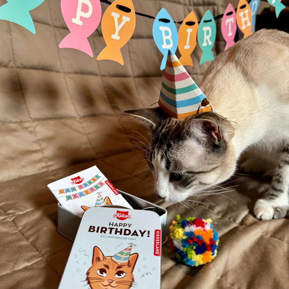 Kit aniversare pisici - Kiko Cat Happy Birthday Kit | Kikkerland - 4 | YEO