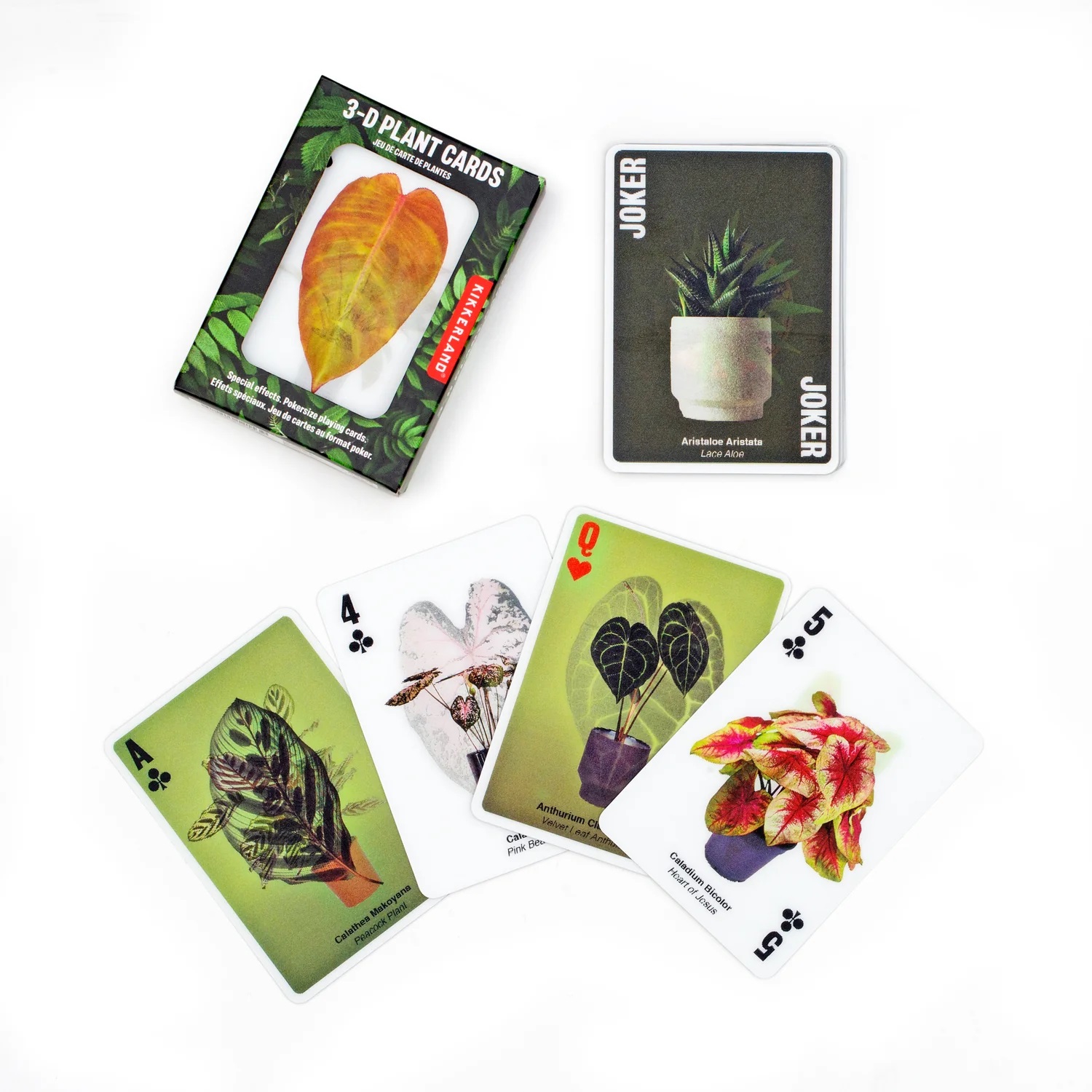 Carti de joc - 3D Plant Cards | Kikkerland