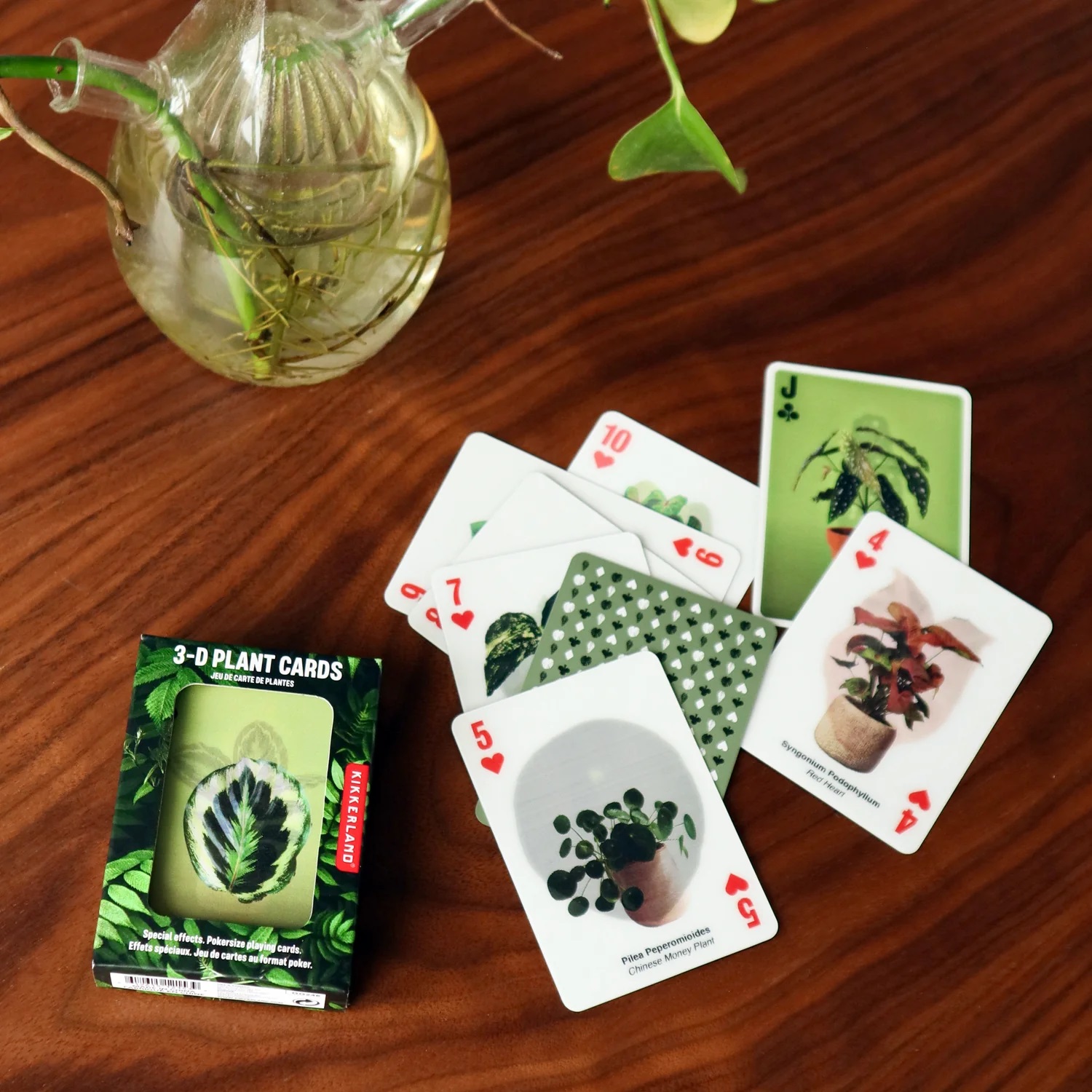 Carti de joc - 3D Plant Cards | Kikkerland - 3 | YEO