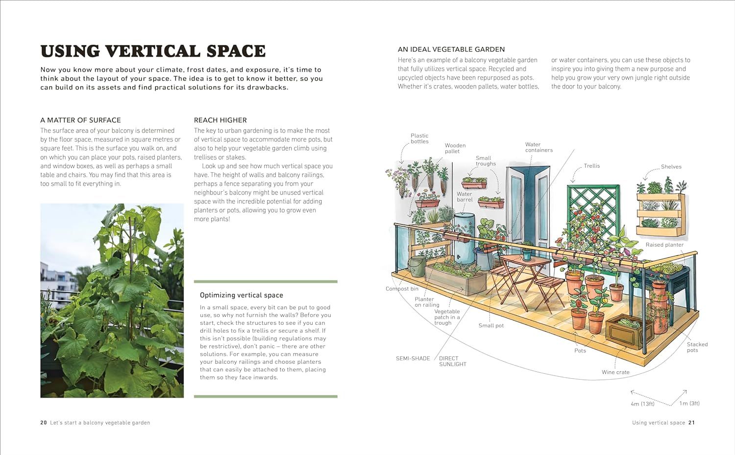 Tomatoes and Basil on the 5th Floor | Patrick Vernuccio - 3 | YEO