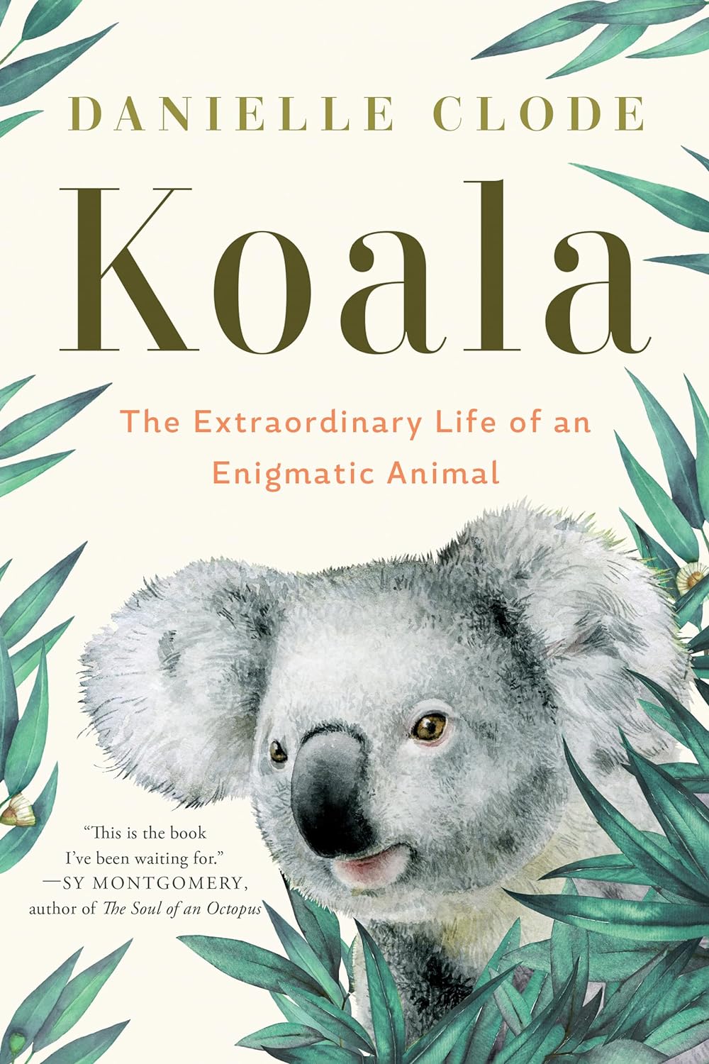 Koala | Danielle Clode