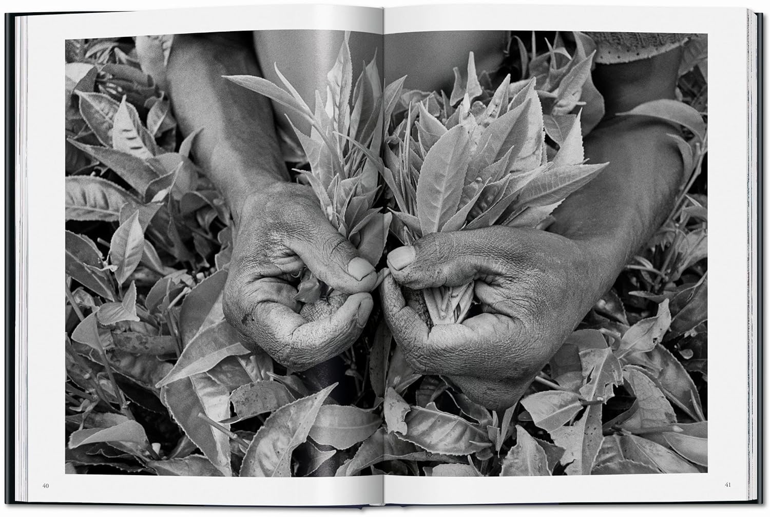 Workers. An Archaeology of the Industrial Age | Sebastiao Salgado, Lelia Wanick Salgado - 1 | YEO