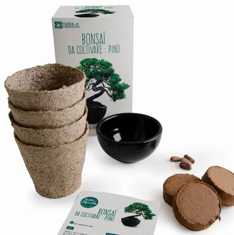 Kit de plantare cu Bonsai