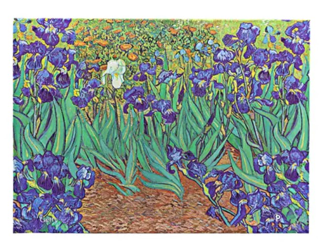 Mapa - Van Gogh’s Irises | Paperblanks