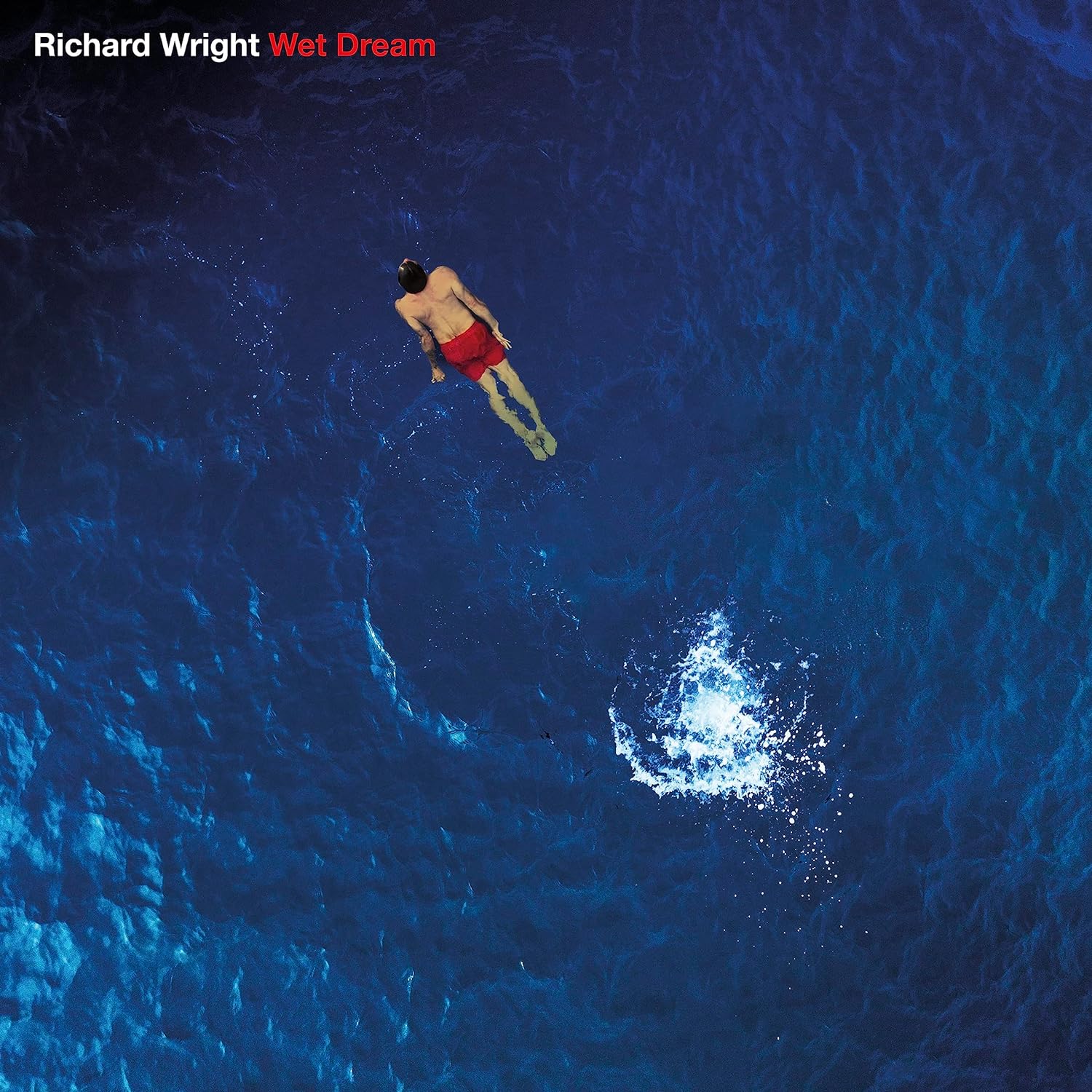 Wet Dream | Richard Wright - 1 | YEO