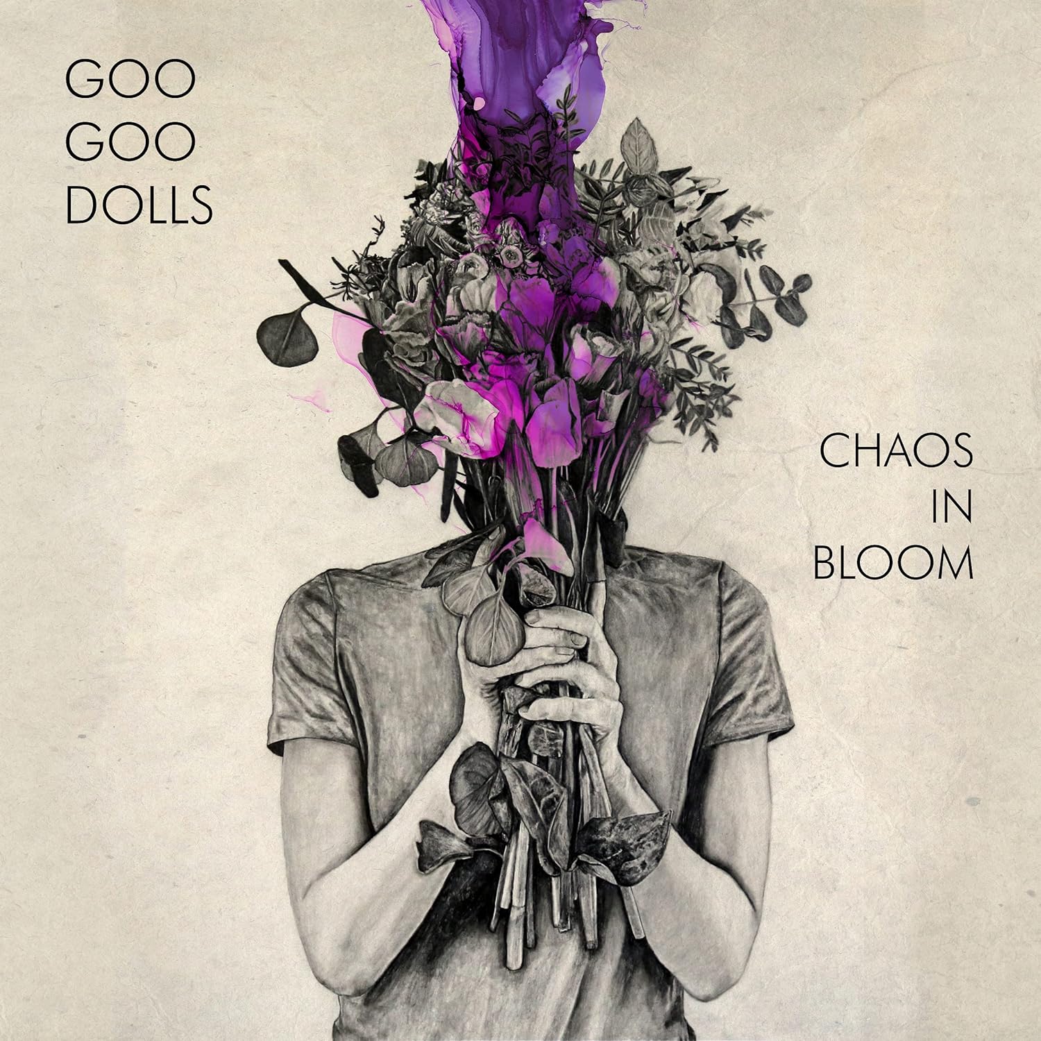 Chaos In Bloom | Goo Goo Dolls