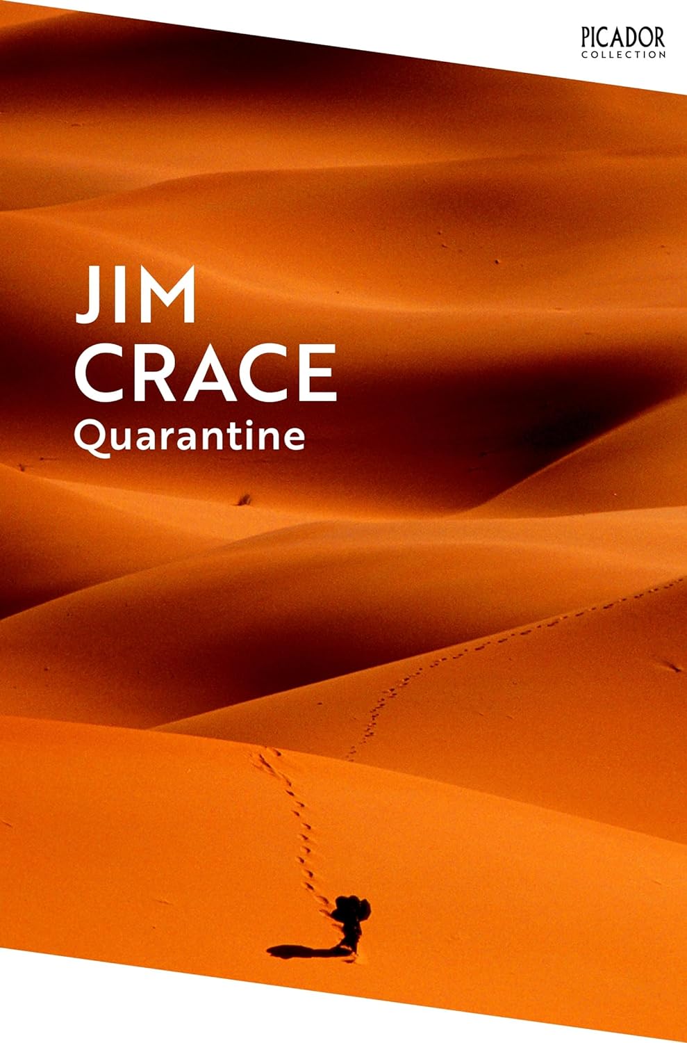 Quarantine | Jim Crace