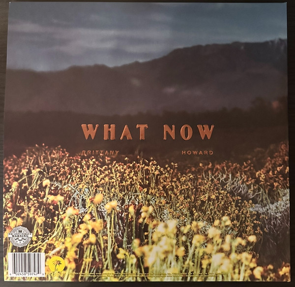 What Now - Yellow Translucent Vinyl | Brittany Howard