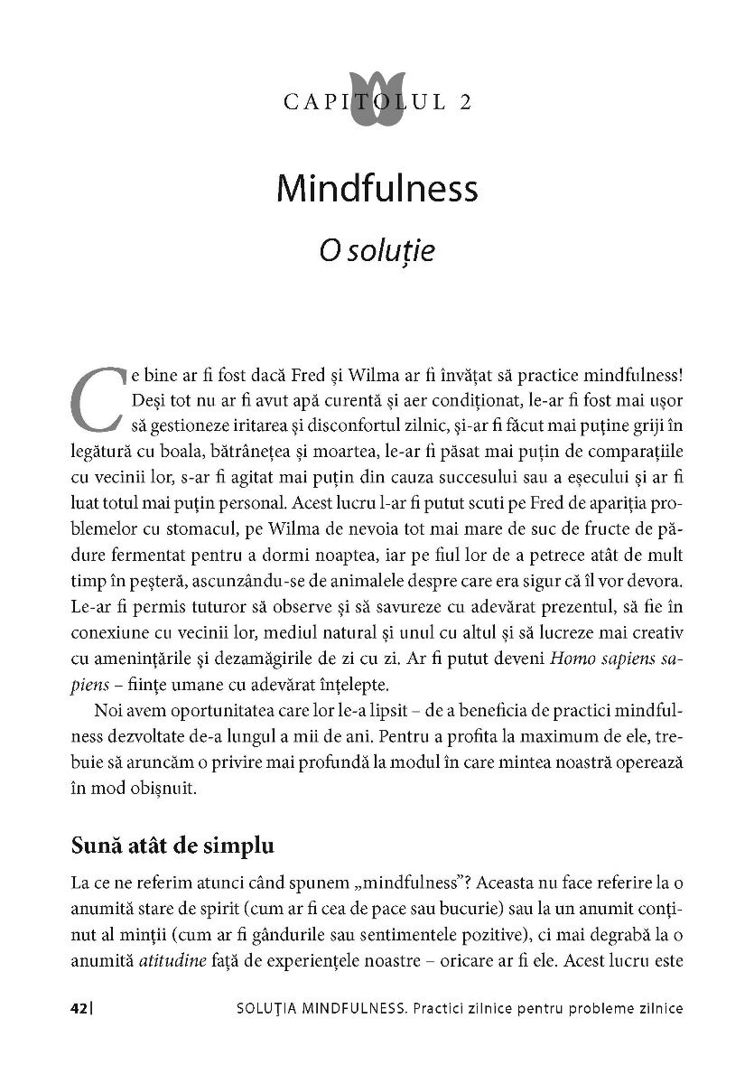 Solutia mindfulness | Ronald D. Siegel - 2 | YEO