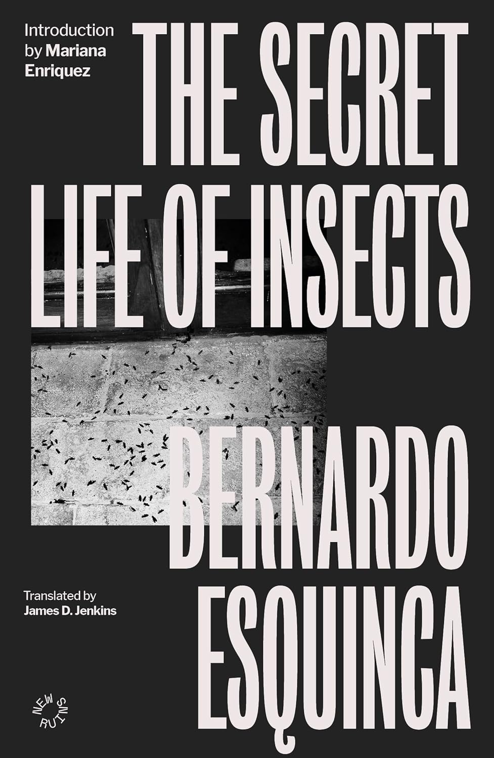 The Secret Life of Insects | Bernardo Esquinca