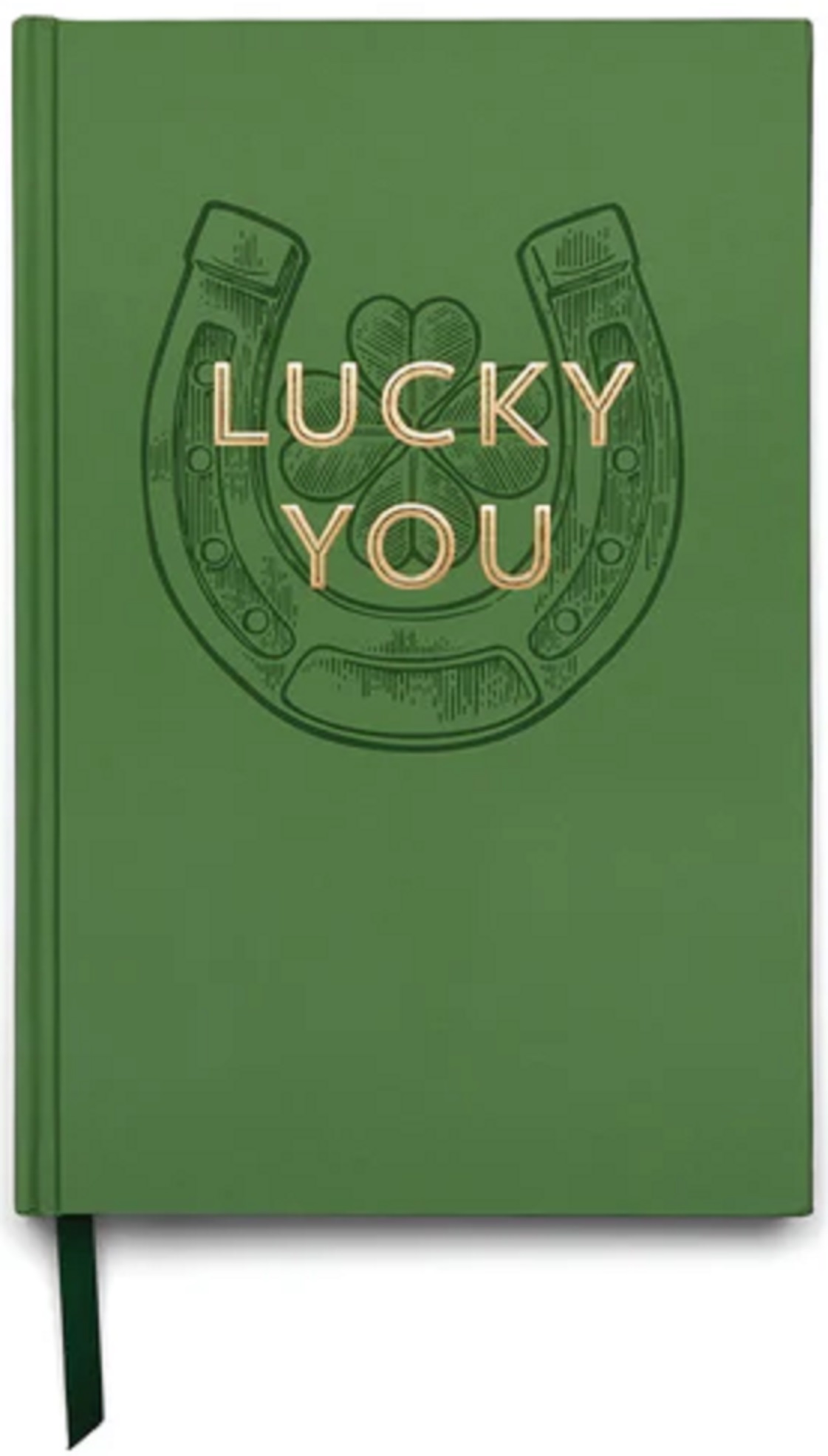 Jurnal - Lucky You