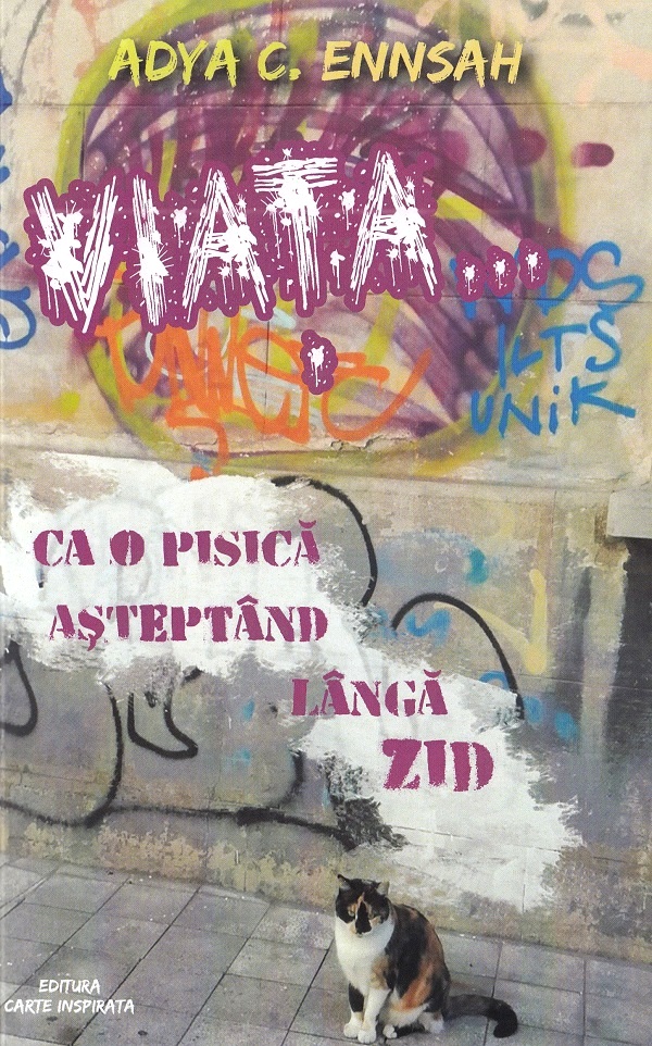 Viata... ca o pisica asteptand langa zid