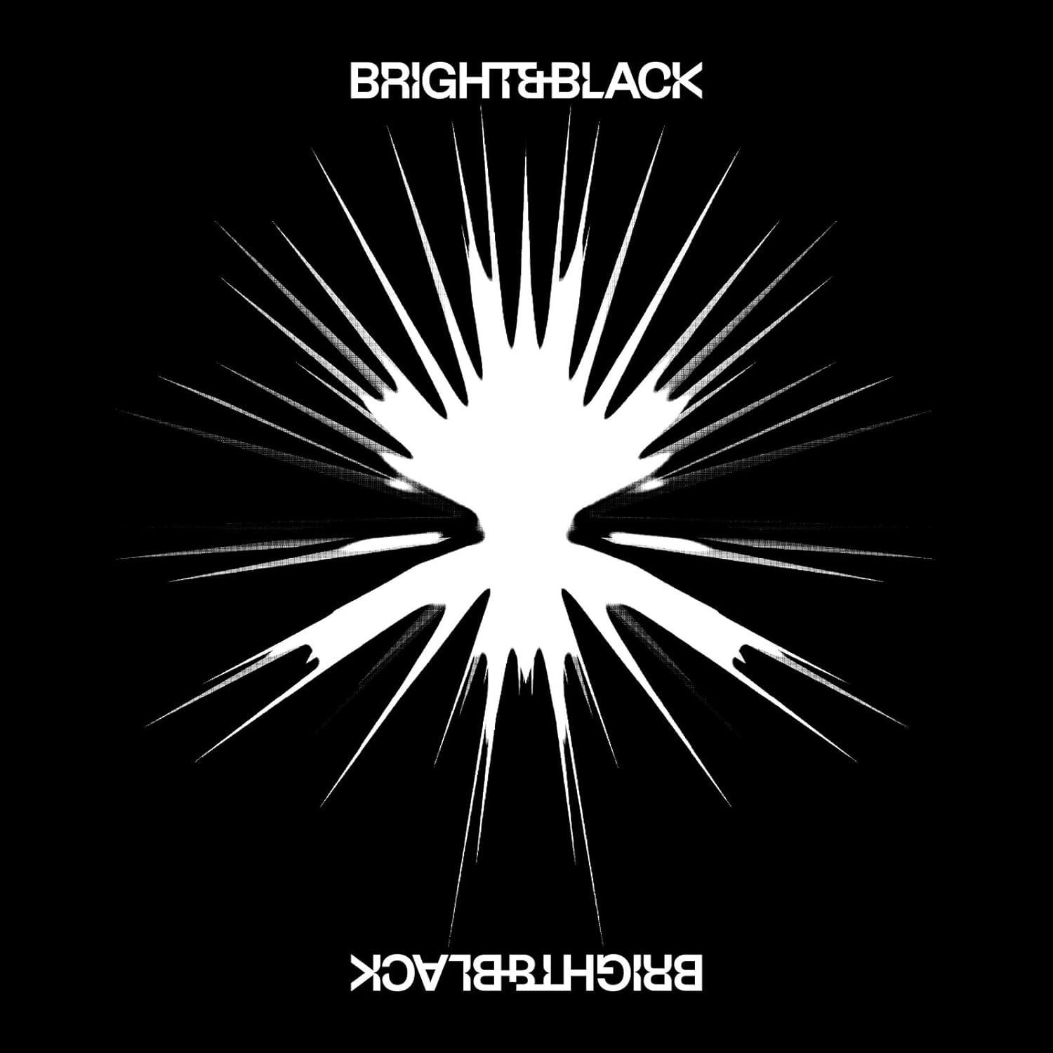 The Album - Vinyl | Bright & Black