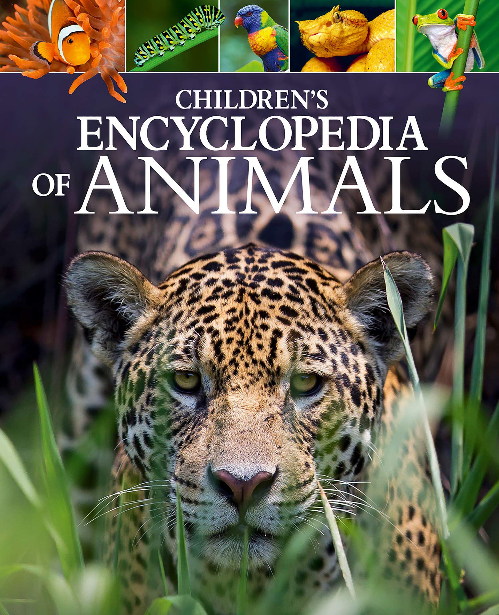 Children\'S Encyclopedia of Animals | Michael Leach