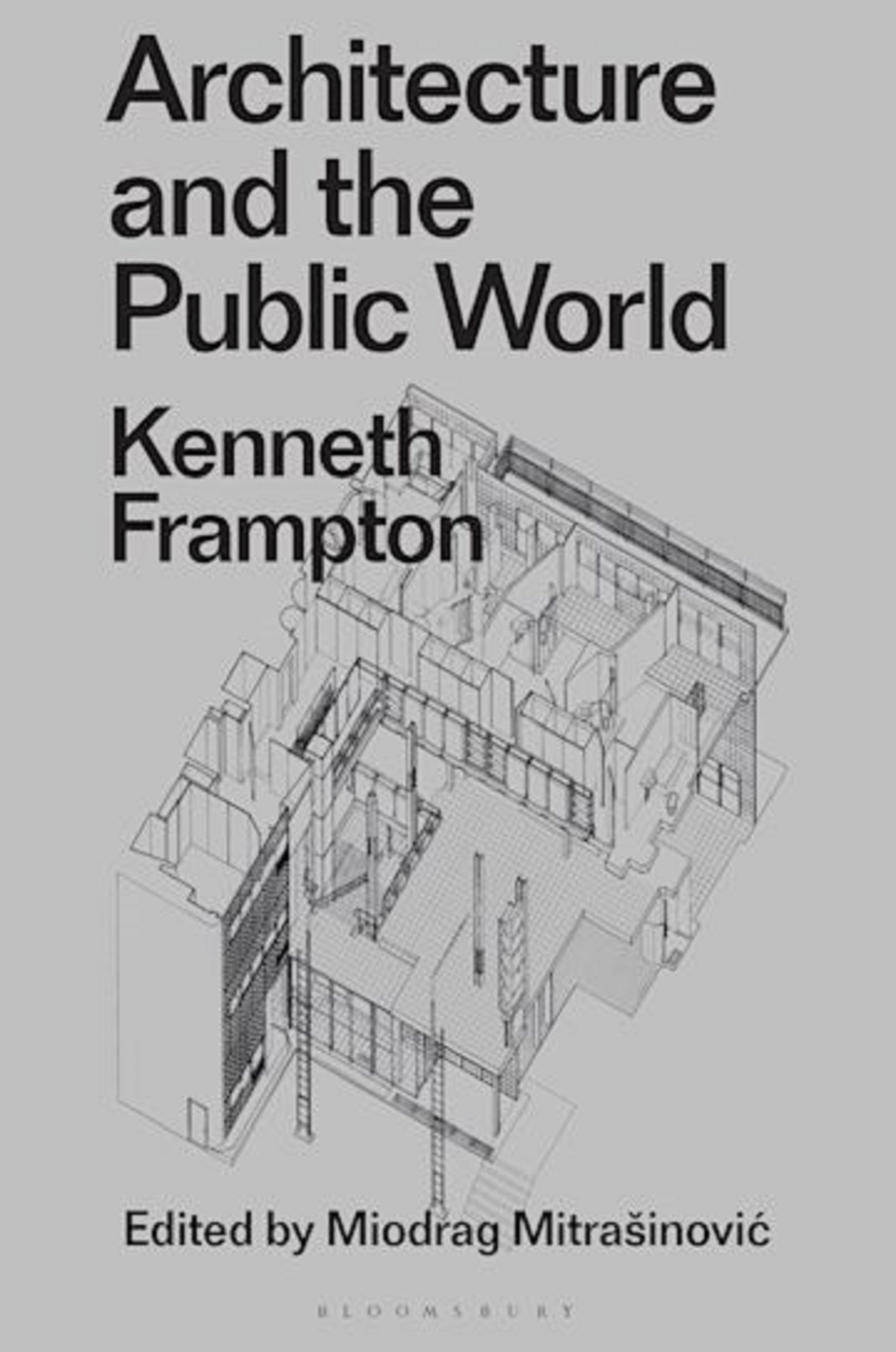 Architecture and the Public World