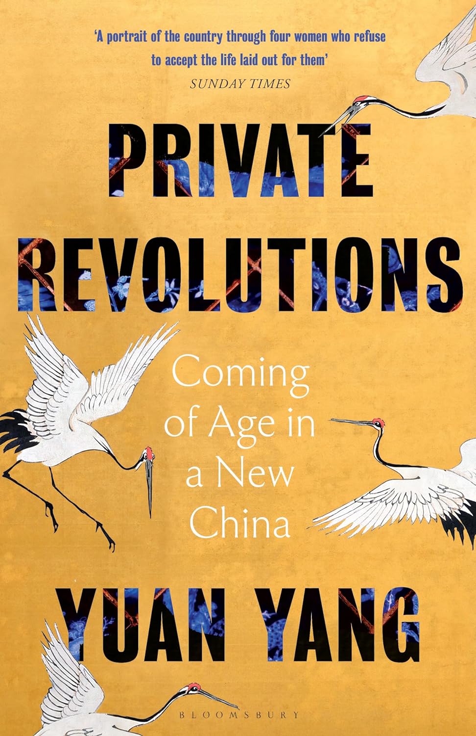 Private Revolutions | Yang Yuan Yang