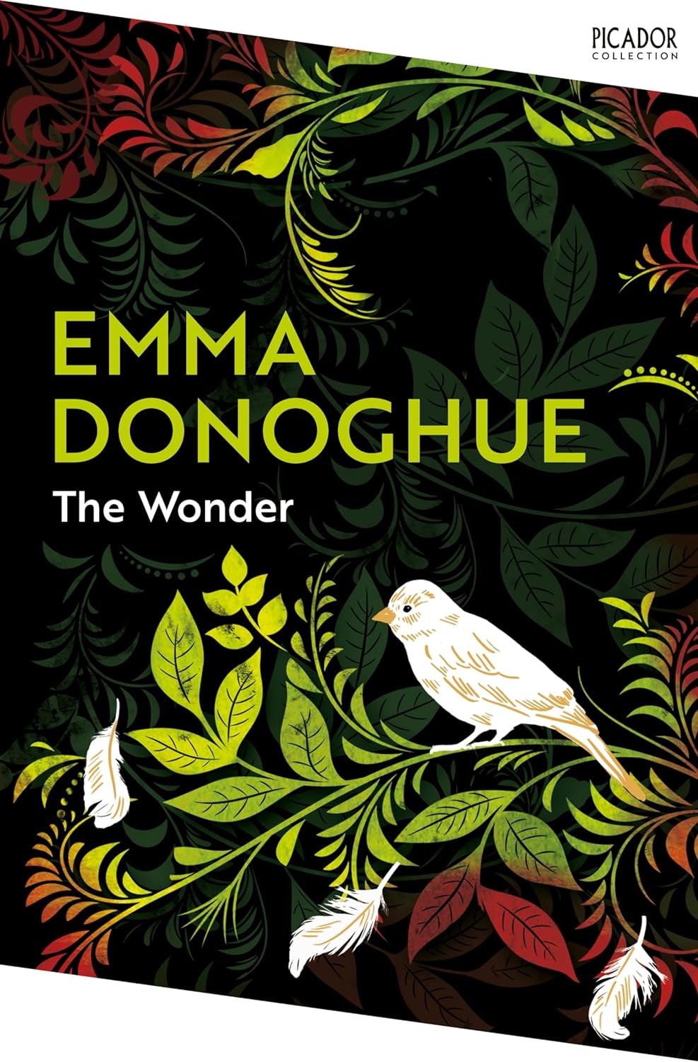 The Wonder | Emma Donoghue