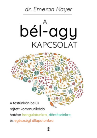 A bel-agy kapcsolat