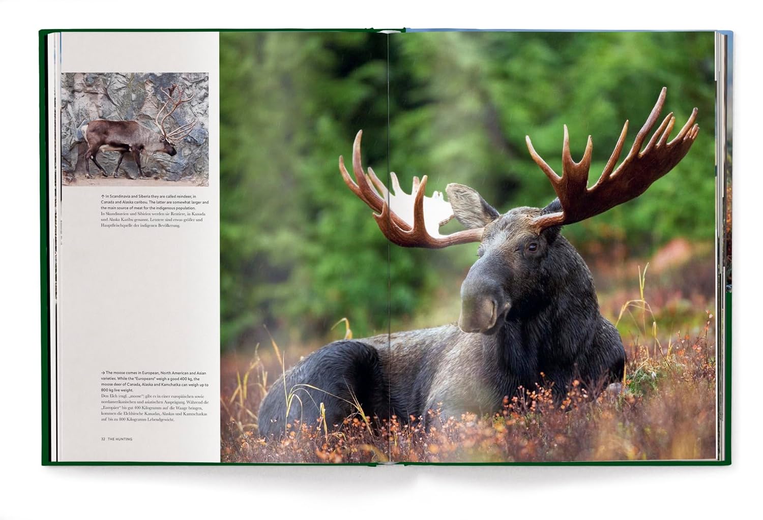 Hunting - The Ultimate Book | Peter Feierabend, Sascha Numen - 5 | YEO