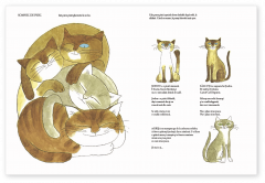 Prietenele noastre, animalele