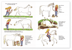 Prietenele noastre, animalele