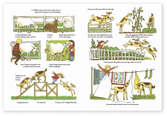 Prietenele noastre, animalele