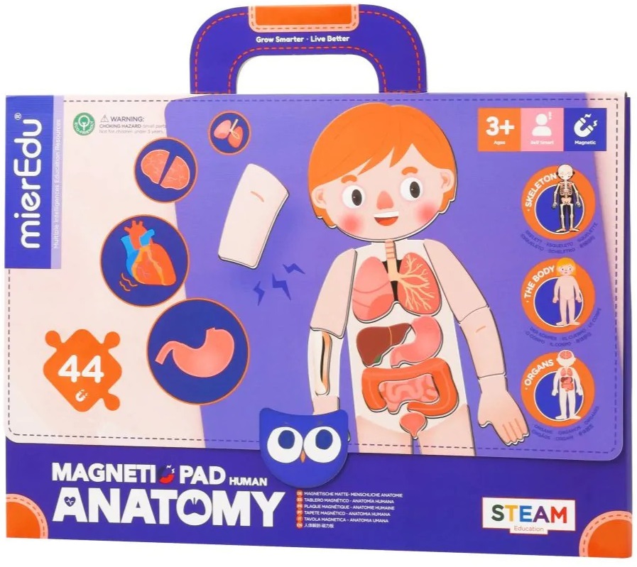 Puzzle magnetic - Anatomia umana | MierEdu - 1 | YEO