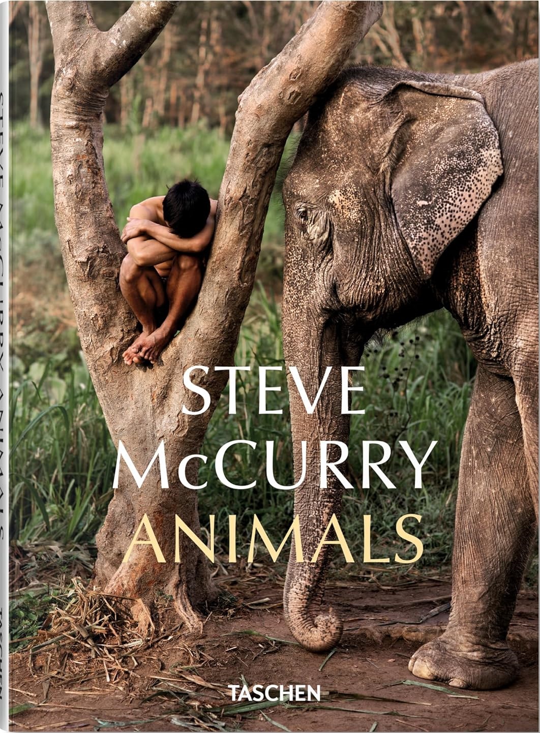 Steve McCurry - Animals | Reuel Golden - 6 | YEO