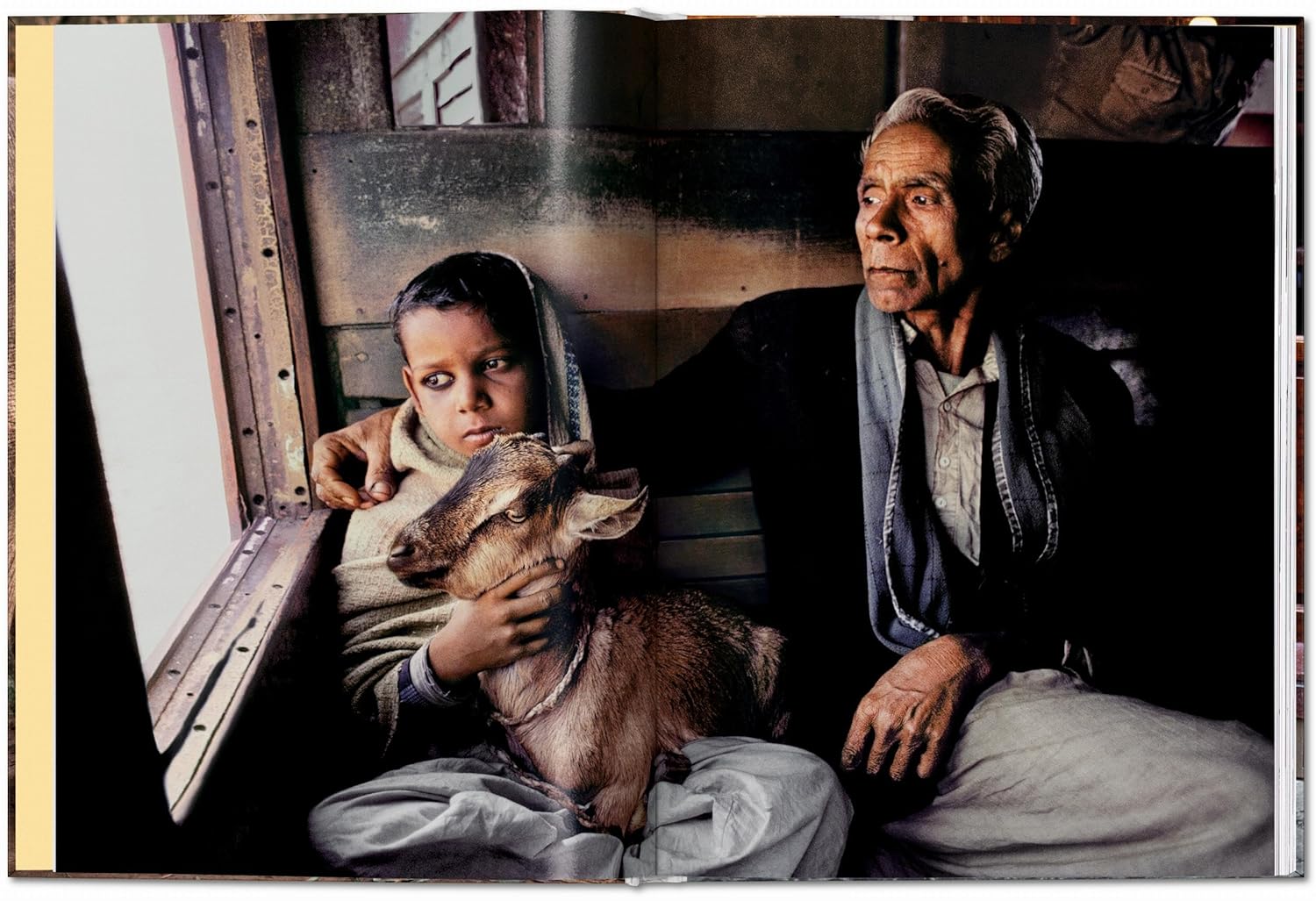 Steve McCurry - Animals | Reuel Golden