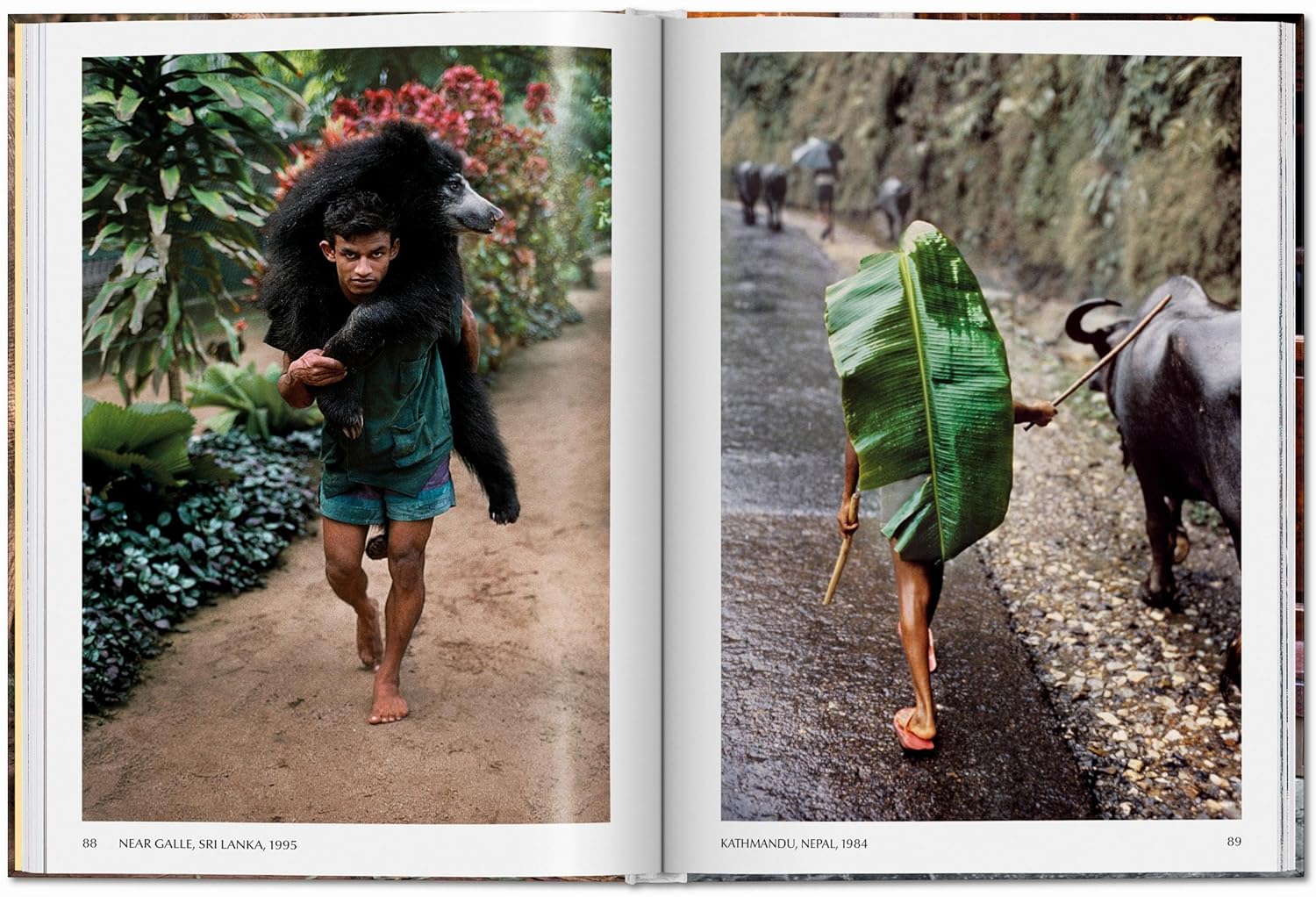 Steve McCurry - Animals | Reuel Golden - 3 | YEO