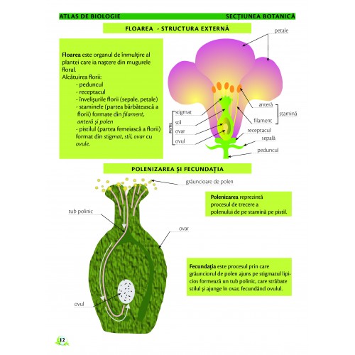 Atlas de biologie scolar pentru gimnaziu (clasele V-VIII) | Marius Lungu, Iris Sarchizian