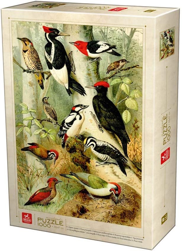 Puzzle 1000 piese - Encyclopedia - Birds