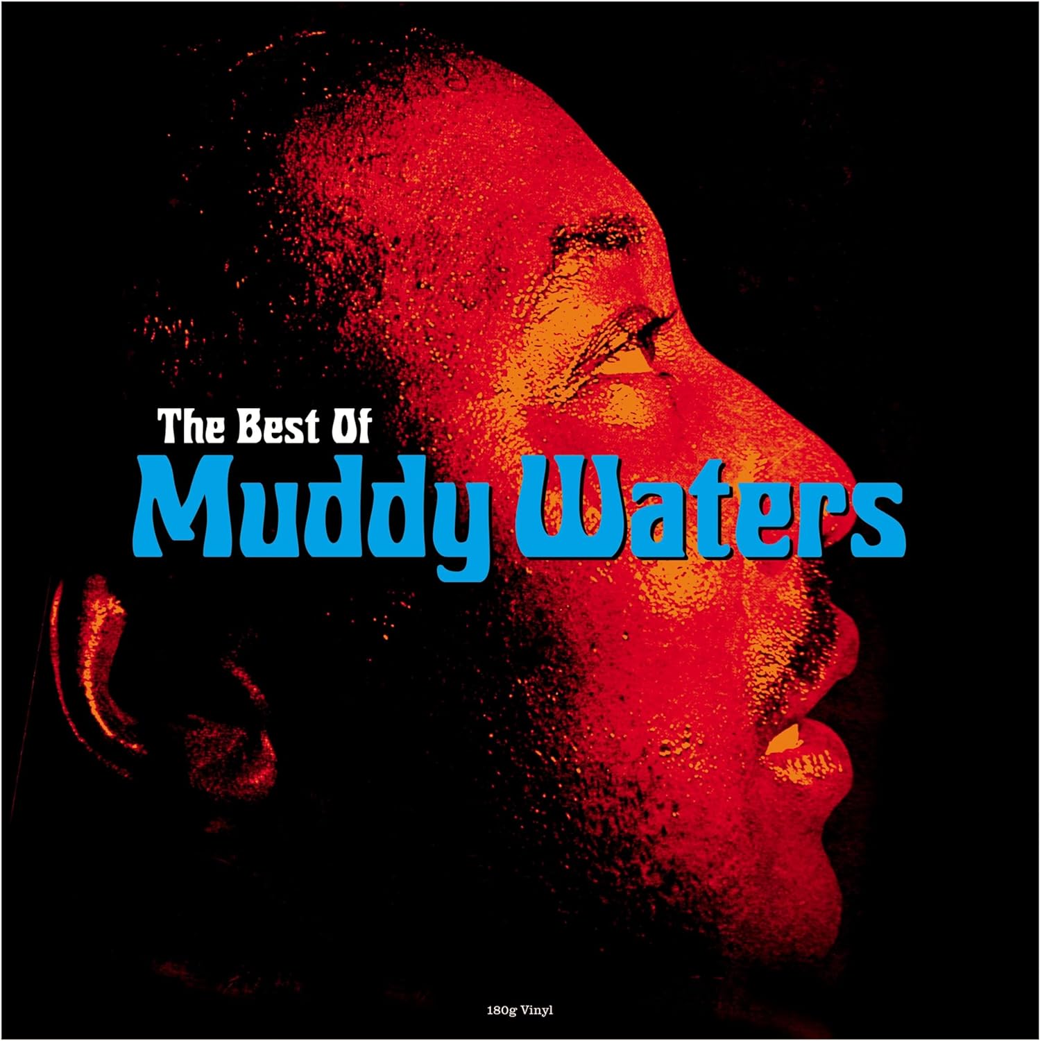 The Best Of Muddy Waters | Muddy Waters - 1 | YEO