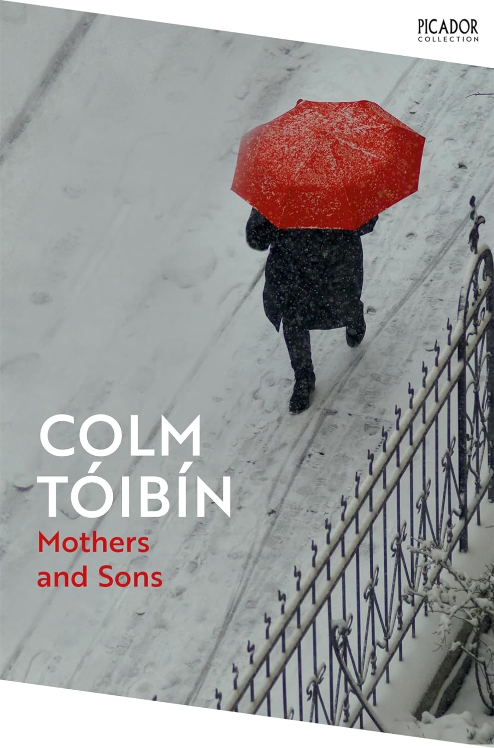 Mothers and Sons | Colm Toibin