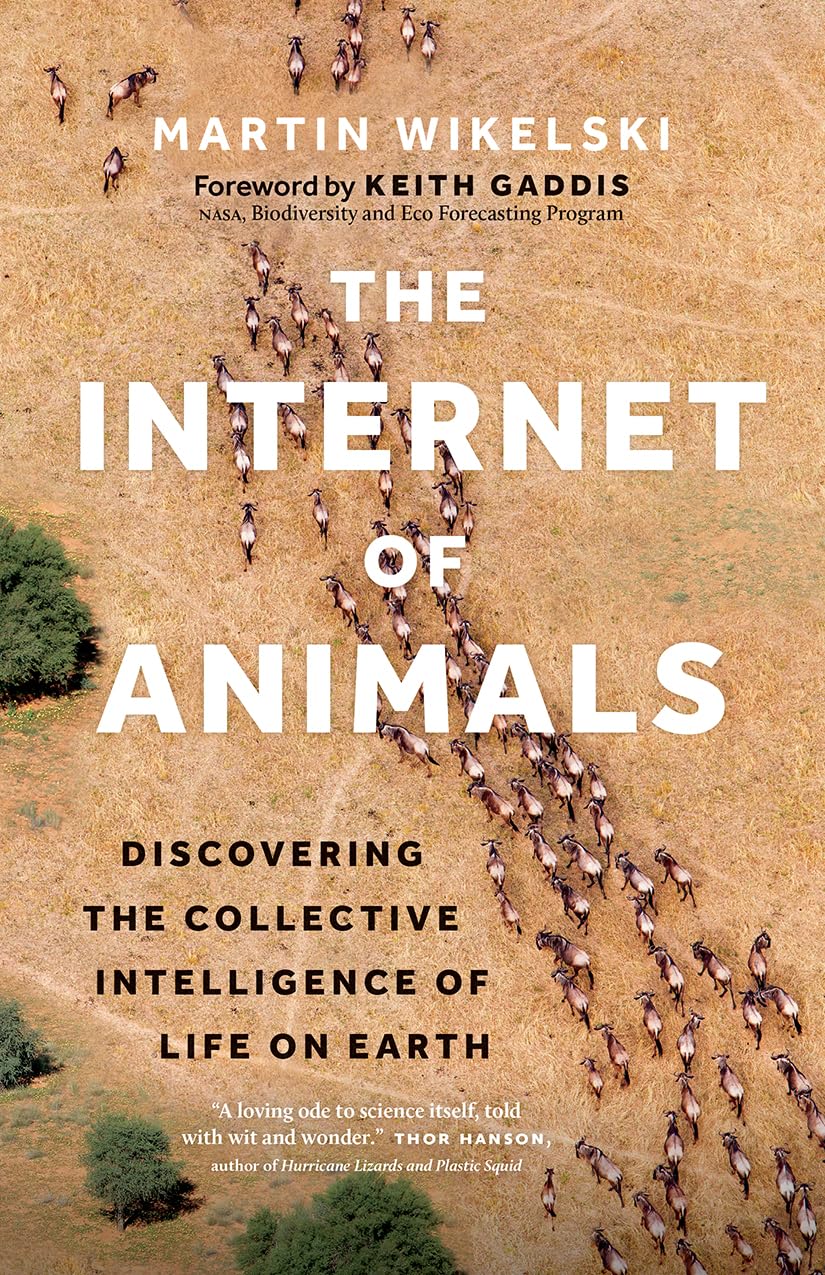 The Internet of Animals | Martin Wikelski