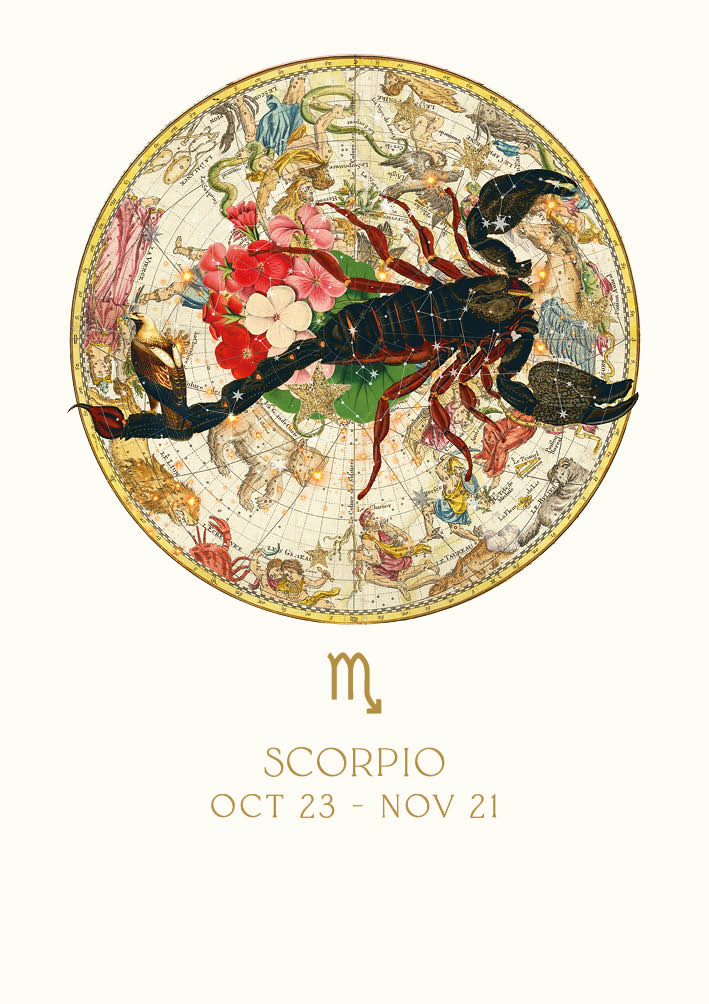 Felicitare - Scorpio | The Art File