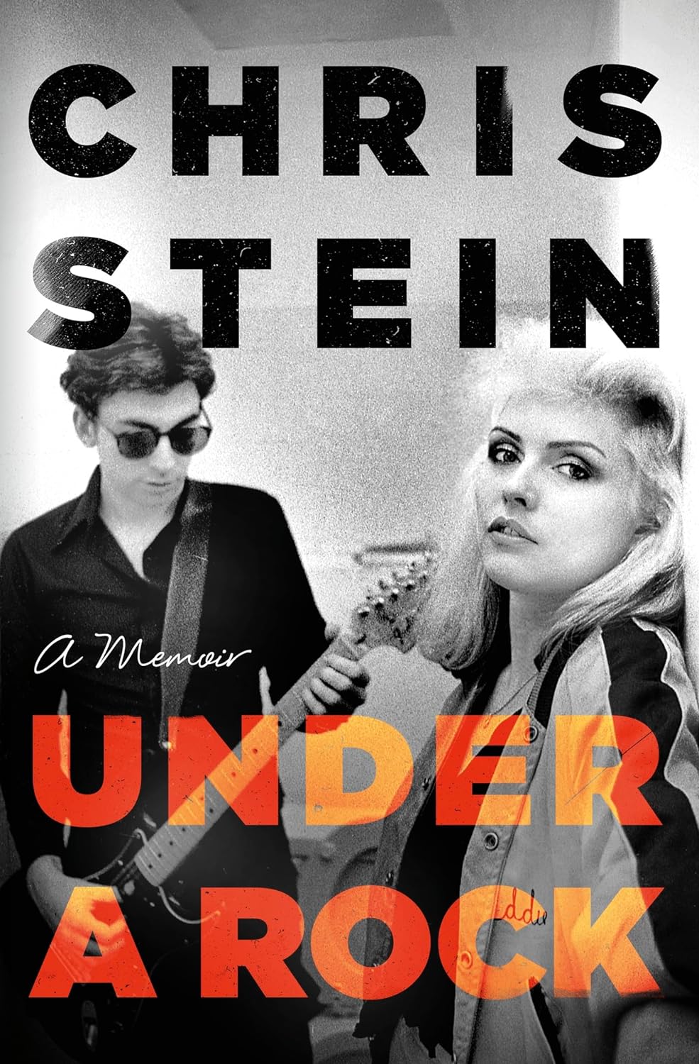 Under A Rock | Chris Stein