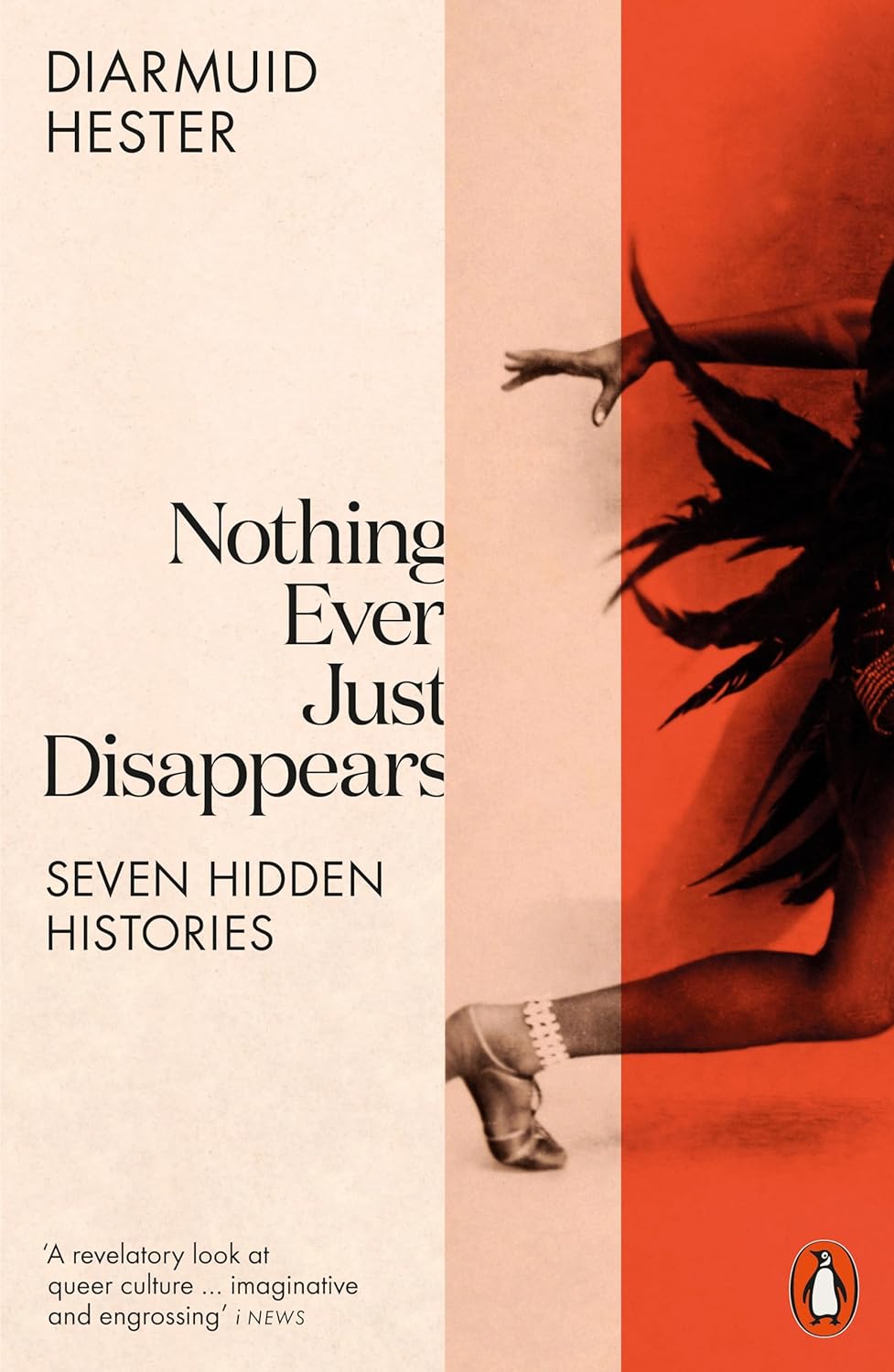 Nothing Ever Just Disappears | Diarmuid Hester