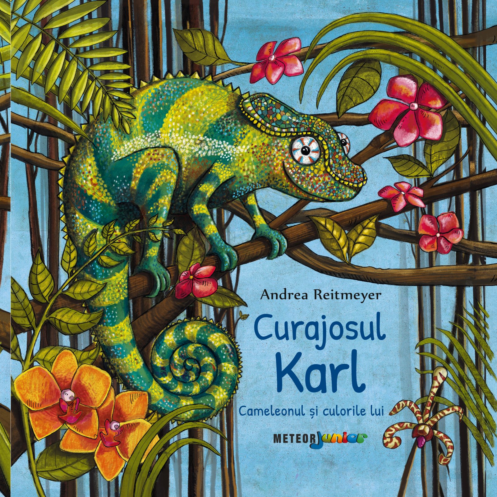 Curajosul Karl