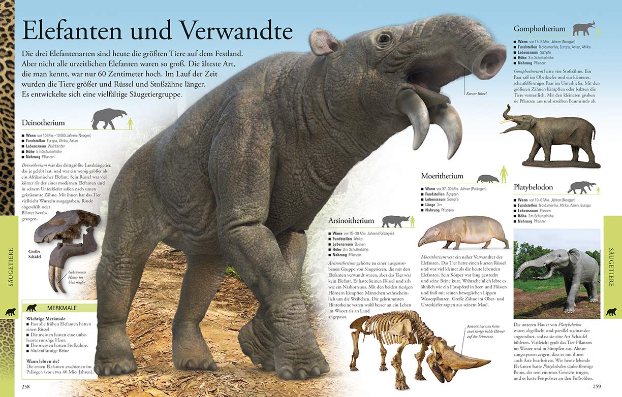 Dinosaurier und andere Tiere der Urzeit für clevere Kids | - 1 | YEO