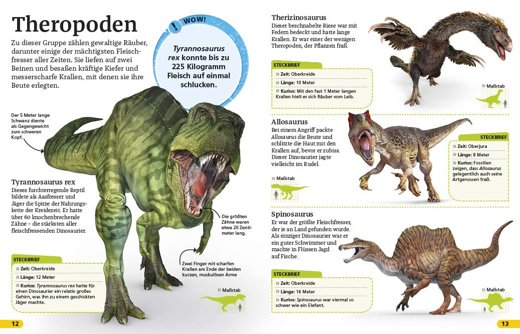 Dinosaurier | - 2 | YEO