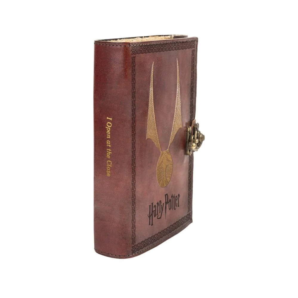 Carnet - Harry Potter - Leather Notebook | Grupo Erik - 1 | YEO