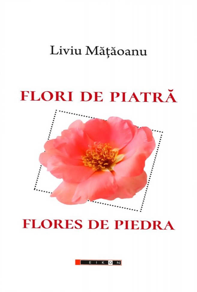 Flori de piatra / Flores de piedra | Liviu Mataoanu - 3 | YEO