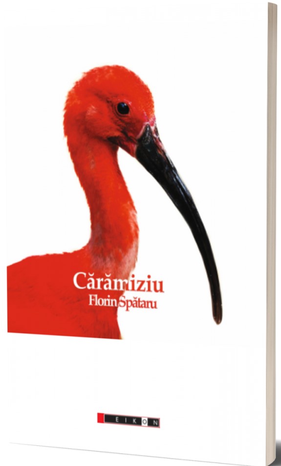 Caramiziu | Florin Spataru