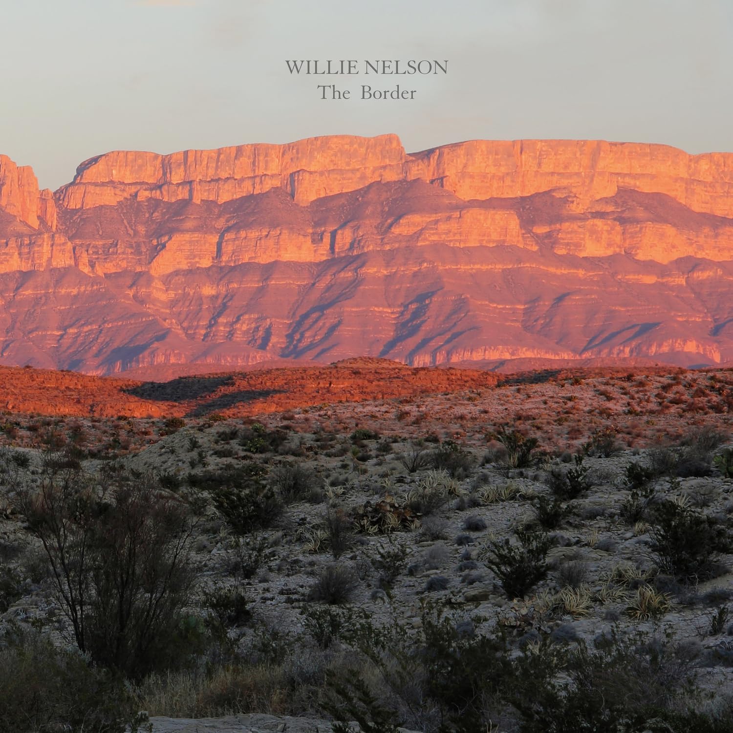 The Border - Vinyl | Willie Nelson - 1 | YEO